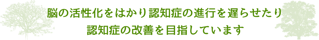 脳の活性化をはかり認知症の進行を遅らせたり認知症の改善を目指しています