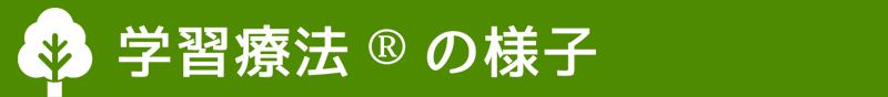 学習療法の様子