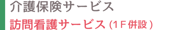介護保険サービス 訪問介護サービス